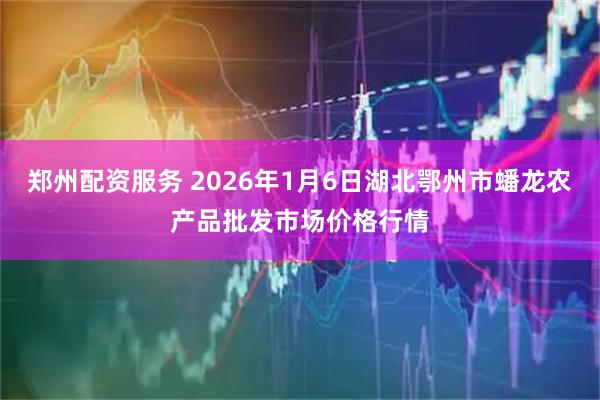 郑州配资服务 2026年1月6日湖北鄂州市蟠龙农产品批发市场价格行情